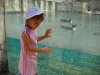 DSCN4876